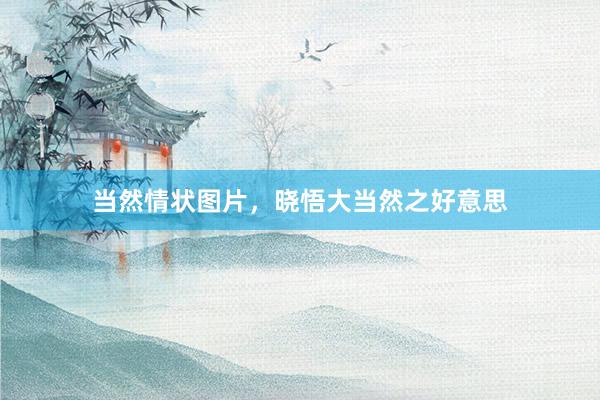 当然情状图片，晓悟大当然之好意思