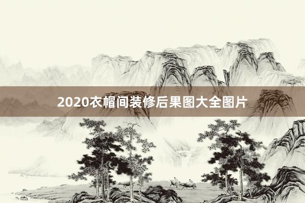 2020衣帽间装修后果图大全图片
