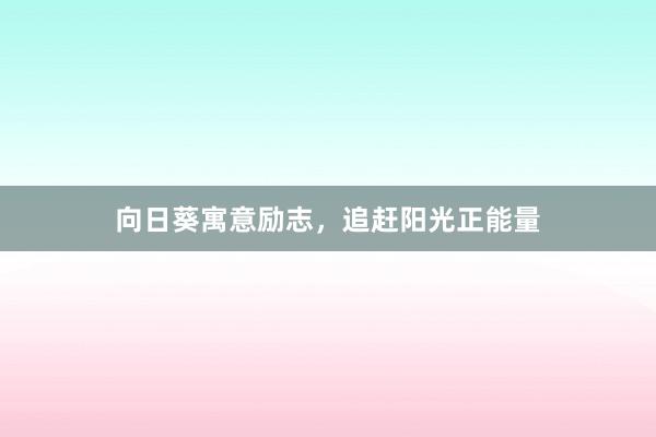向日葵寓意励志，追赶阳光正能量
